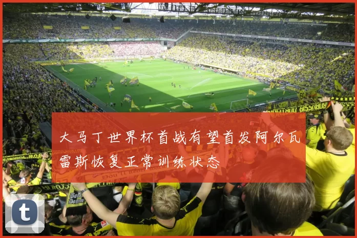 大马丁世界杯首战有望首发阿尔瓦雷斯恢复正常训练状态
